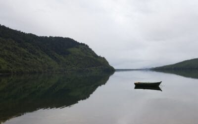 Pausa Natural: por que os recomeços também precisam de silêncio