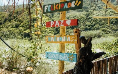 Felicidade nas pequenas coisas: o verdadeiro significado de ser feliz no dia a dia.
